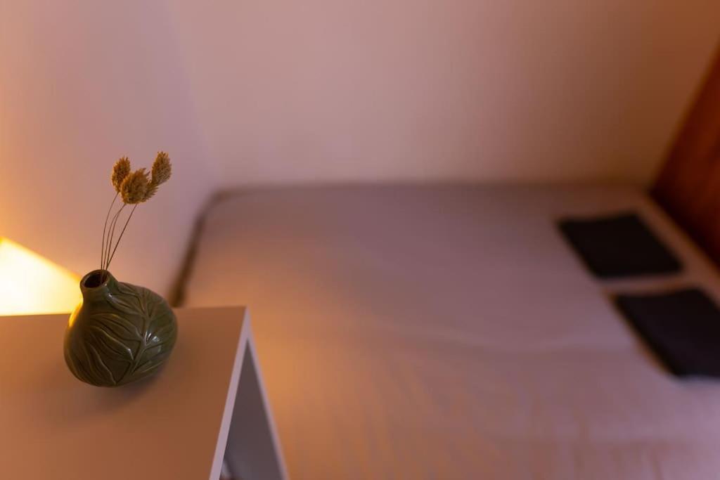 Studio Voltaire Au Coeur De Jaures Belfort Eksteriør bilde